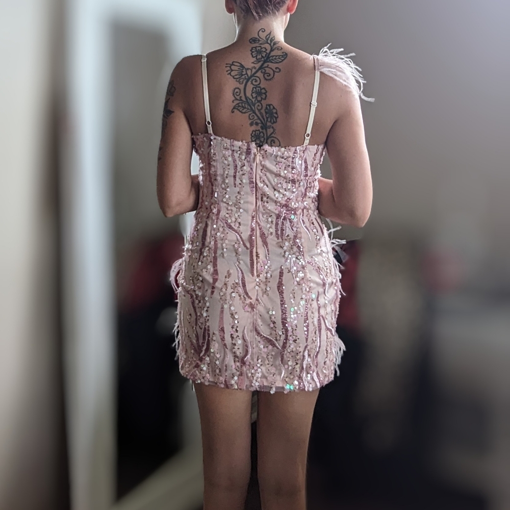 Mew mews blush sequin feather dress